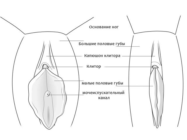 Jinsiy dudlarni labia minora ustiga qayta tiklash